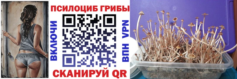 Галлюциногенные грибы ЛСД Мезень
