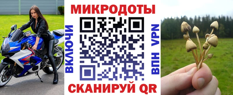 Купить закладки  Мезень  Псилоцибиновые грибы прущие грибы 